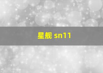 星舰 sn11